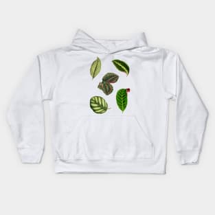 Pack of Calathea leaves Kids Hoodie